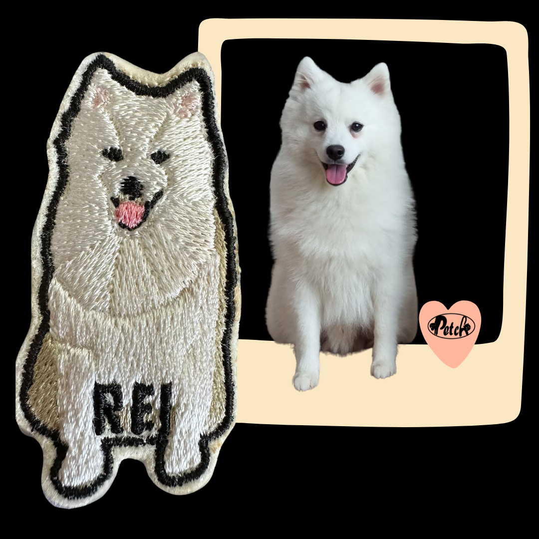 Pet Embroidery  Patch_2