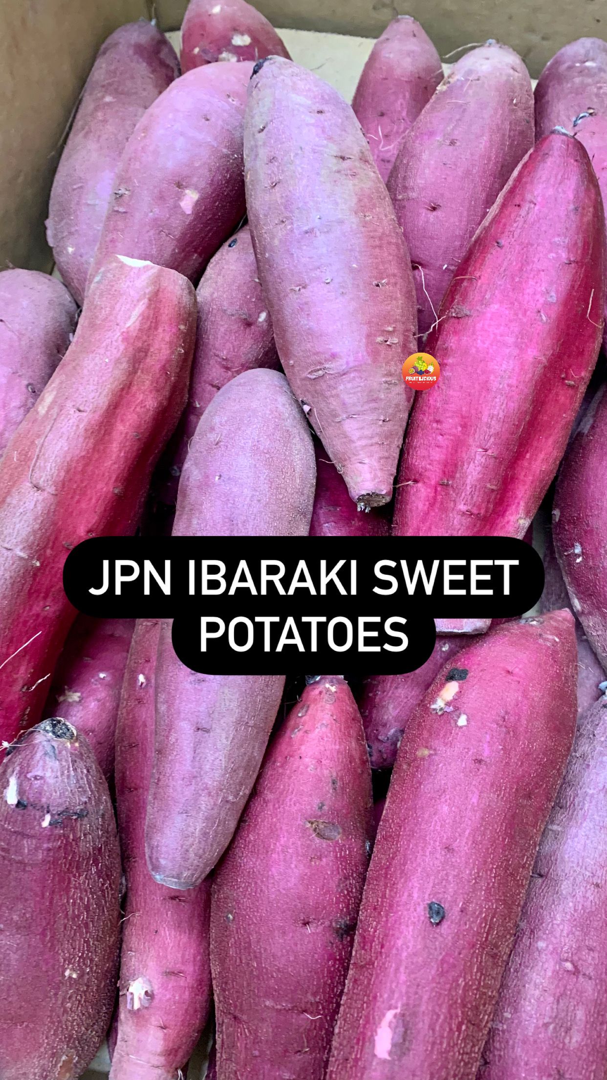 JPN IBARAKI YELLOW SWEET POTATOES_0