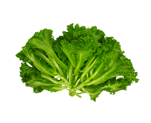 Crystal Lettuce (150 G) _0