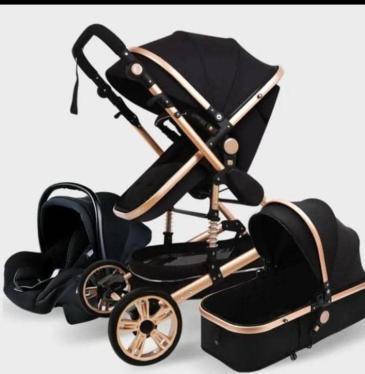 Belleco Stroller 3 in 1_0