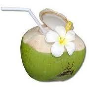 Air Kelapa Biji_0