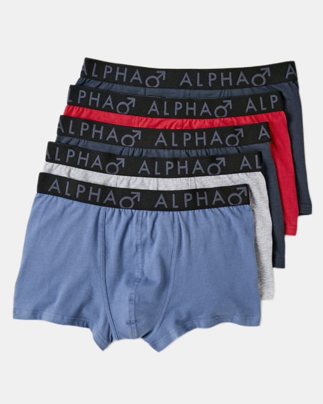 Anko | 5 Pack Plain Trunks | Seafarer - NEW_1