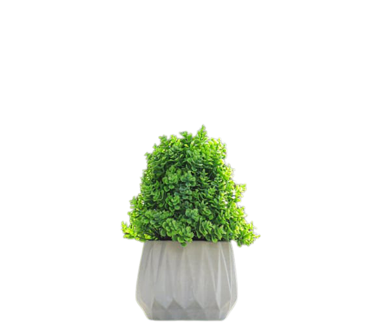 Pots & Artificial plant - Model 5_0