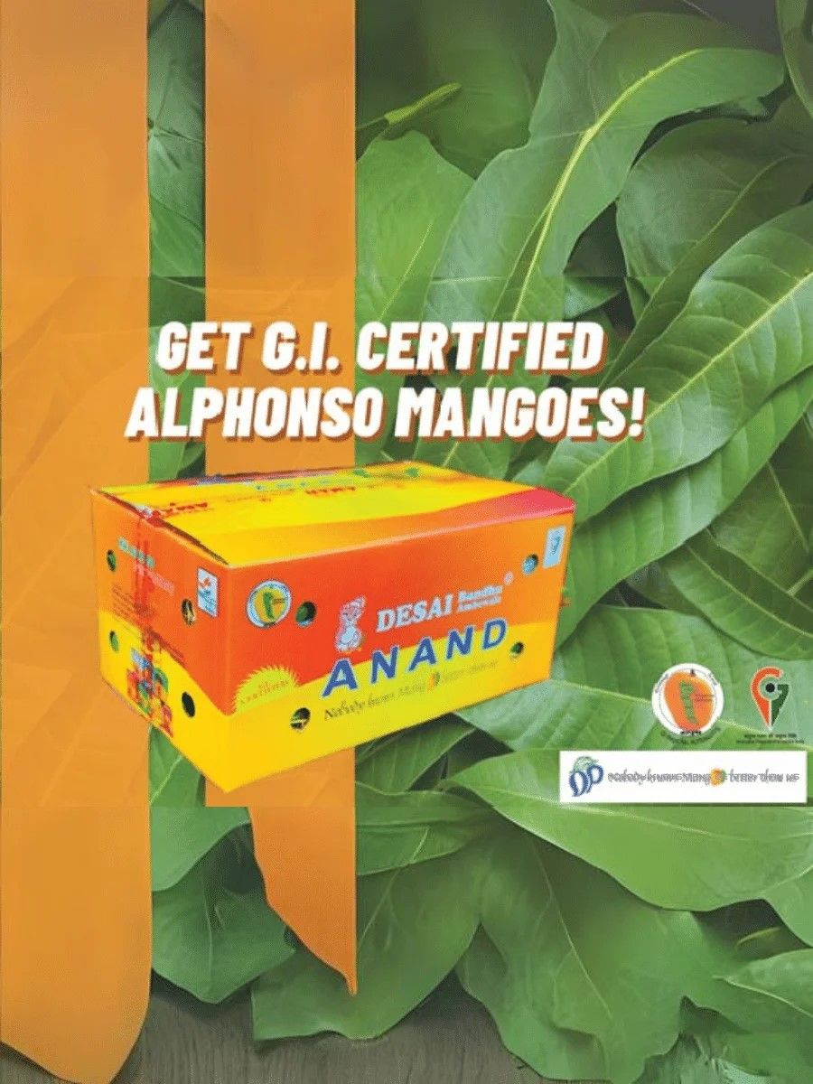 Alphonso 1 Dozen - GI Certified - Desai Bandhu Ambewale_0