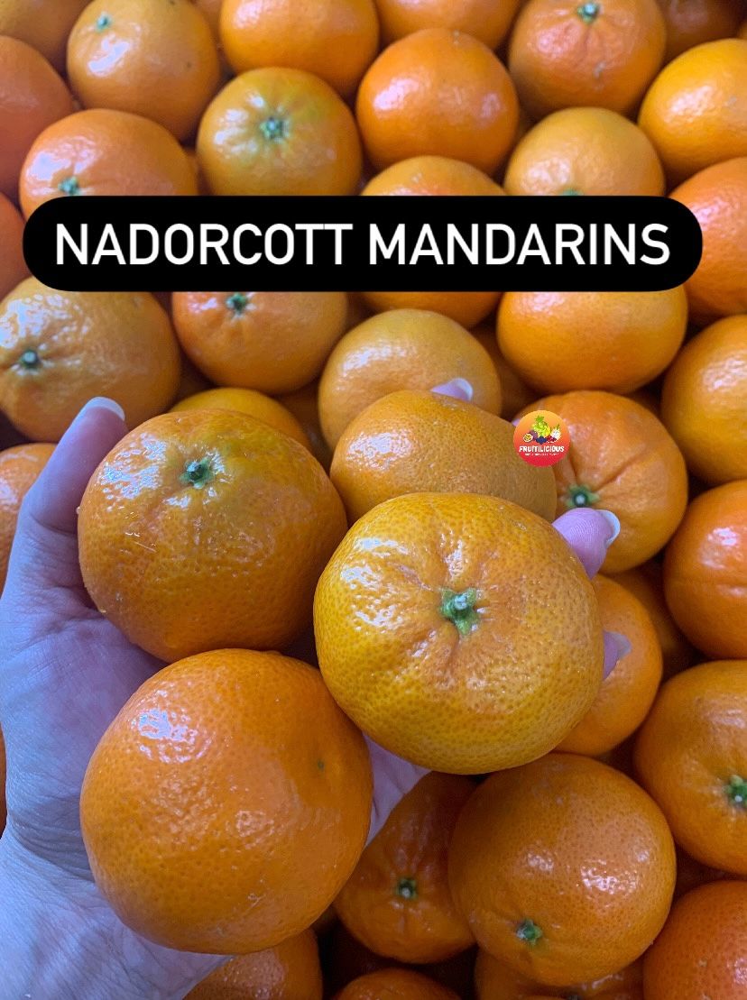 SA NADORCOTT MANDARIN ORANGES (1KG)_1