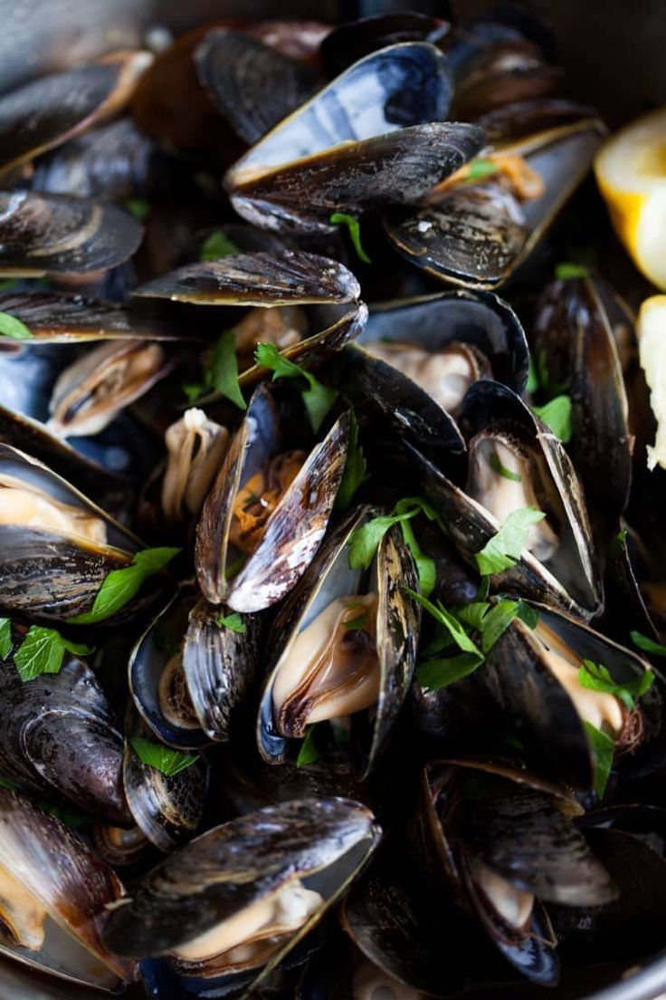 Mussels_0