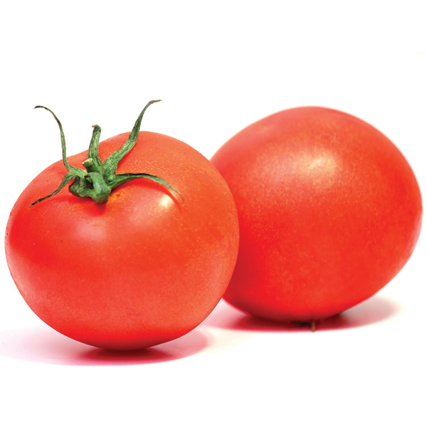 Tomato (nyanya)_0