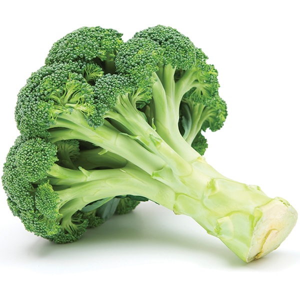 Broccoli _0