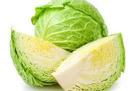 Cabbage _1