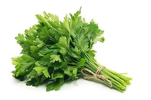 Parsley _0