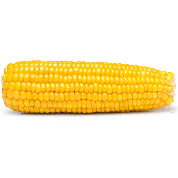 Sweet corn_0