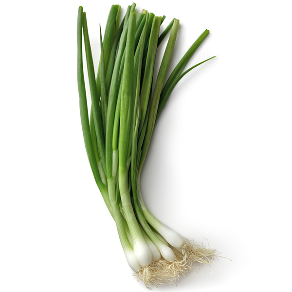 Spring onions_0