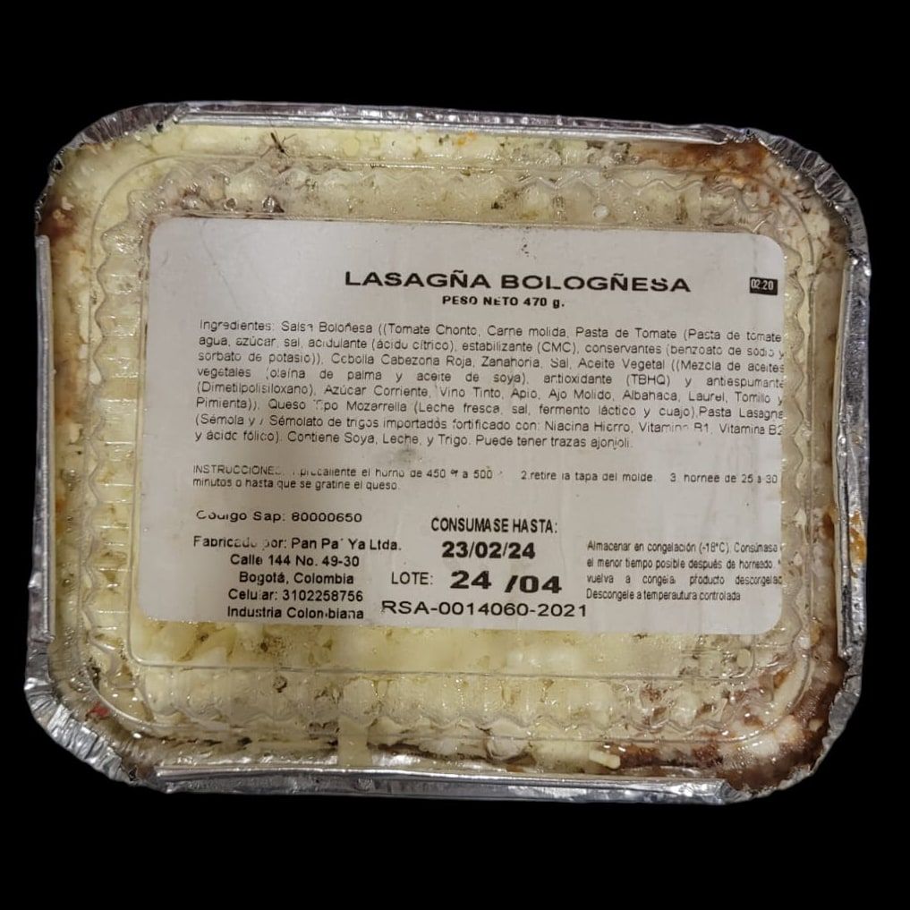 Lasagna Boloñesa 480 gramos _0