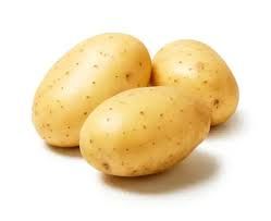 Potato - Holland _0