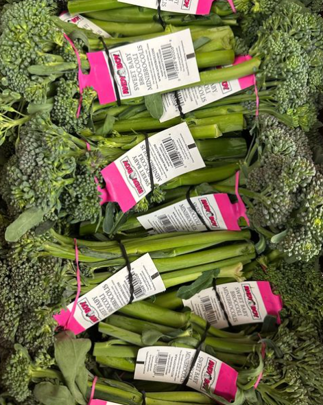 Broccolini Artesian-18CT_1