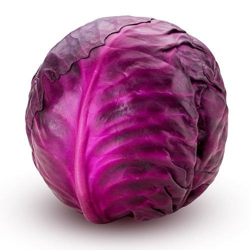 Cabbage Red Box 50lb_0