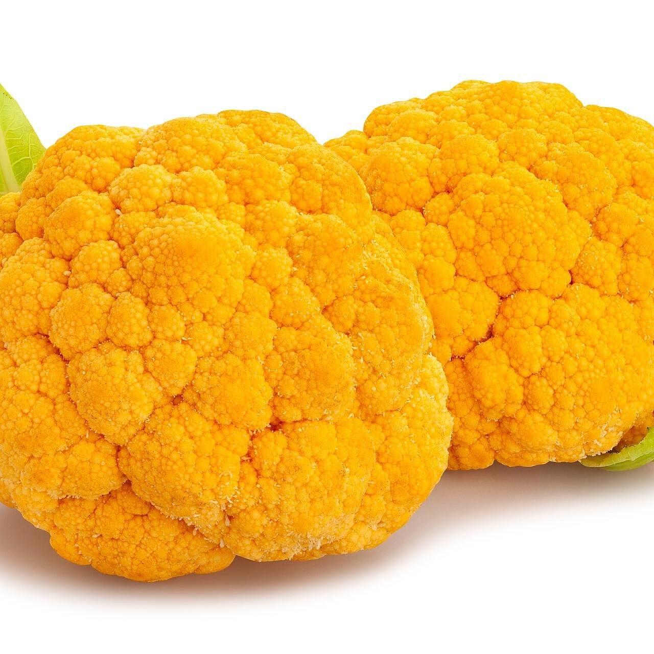 Cauliflower Orange 12ct_0