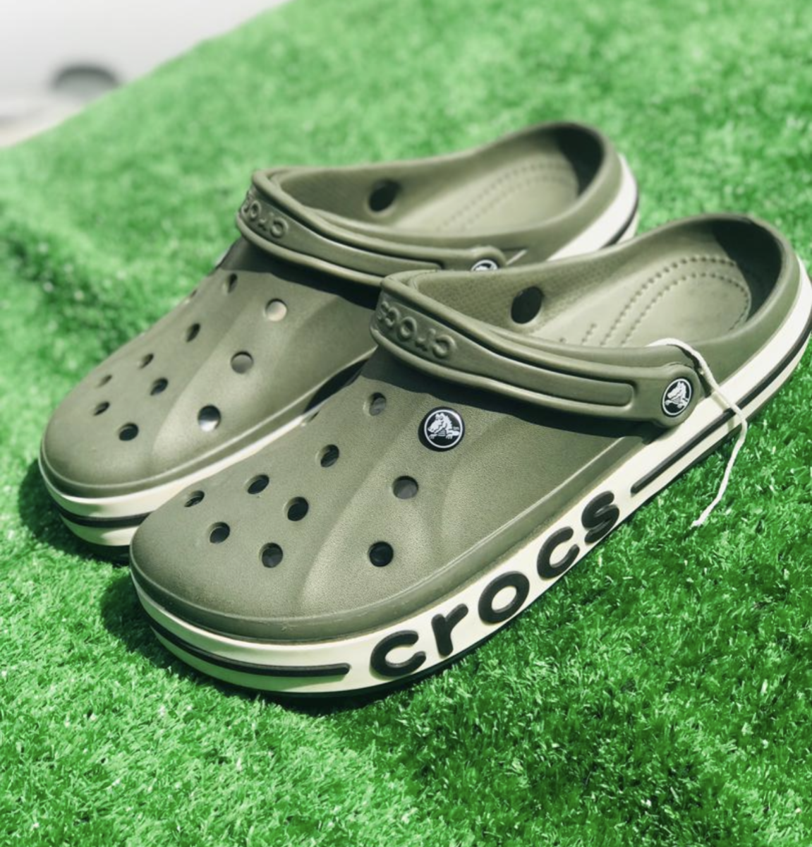 Crocs_1