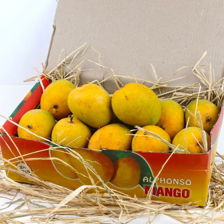 Alphonso Mango(Large) _0