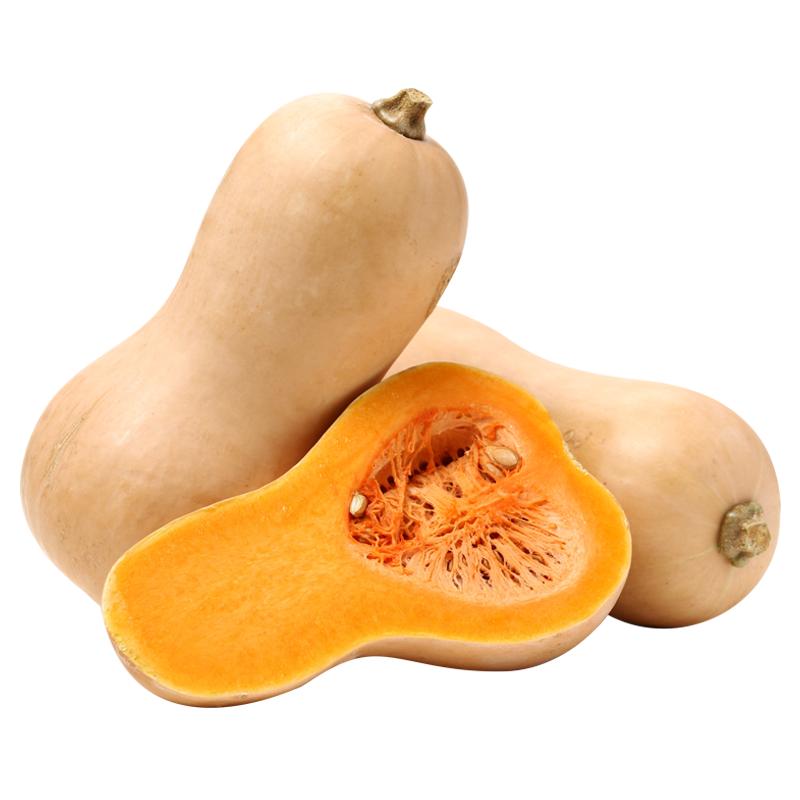 Butternut Pocket_0