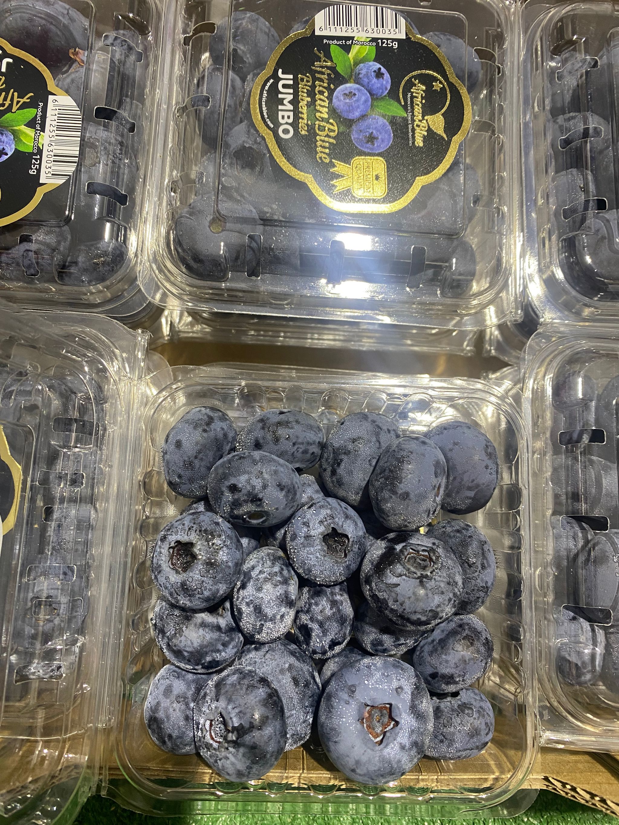 African Blue Jumbo Blueberry_0