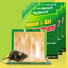 MOUSE AND RAT TRAP_0