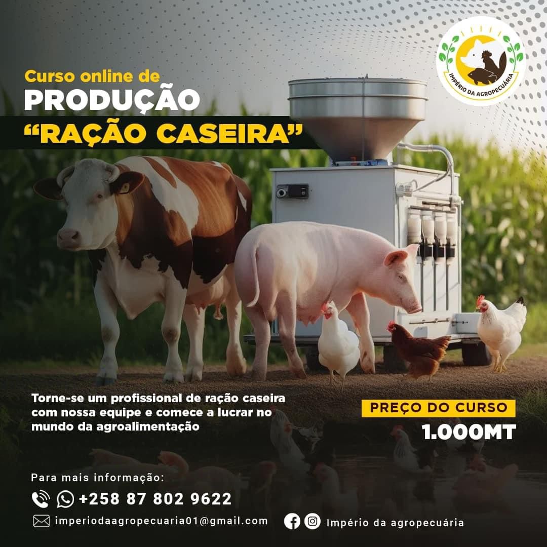 CURSO DE PRODUÇÃO (RAÇÃO CASEIRA)_0