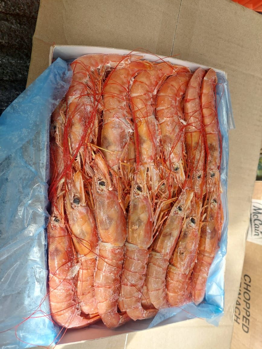 Prawns _0