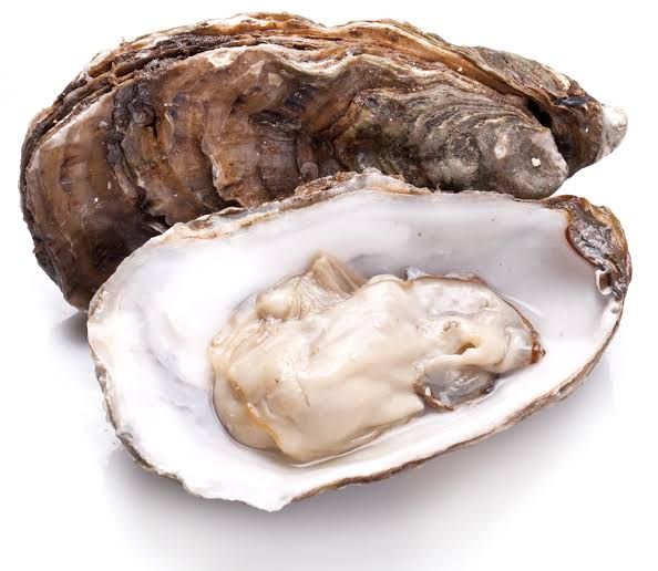 Oysters/ Chaza_0