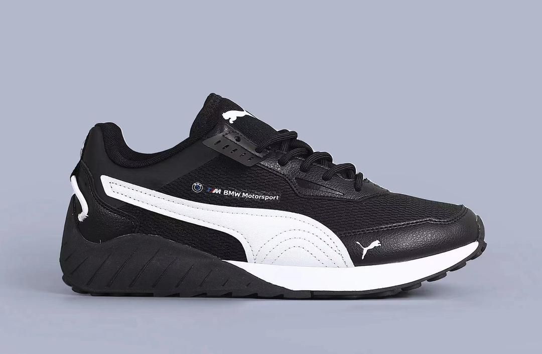 Puma Responsable_1