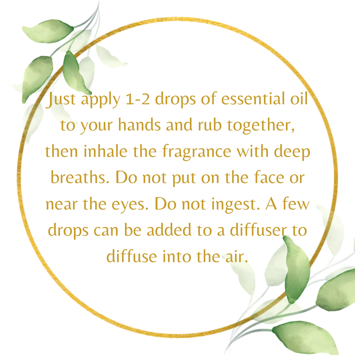 Eucalyptus Essential Oil_2