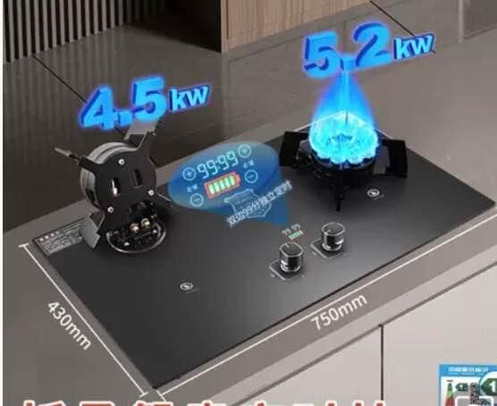  Inbuilt Gas Burner_5