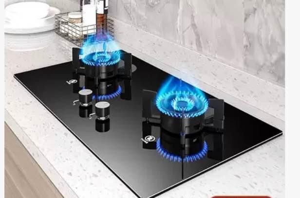  Inbuilt Gas Burner_4