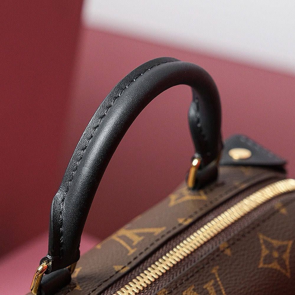  LOUIS VUITTON Petite Malle Souple bag_4