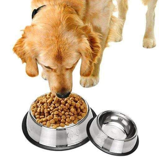 Stainless Steel Pet Basin_1