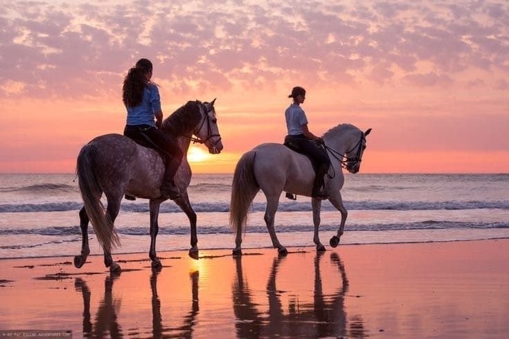 AGADIR OR TAGHAZOUT: FLAMINGO RIVER HORSE RIDE WITH TEA & CAKES_0