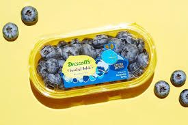 Driscoll Limited Edition Jumbo Blueberries _1