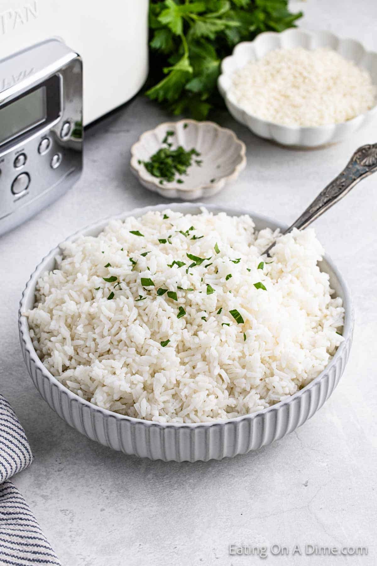 Plain Rice _0