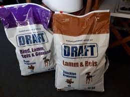 Dog Draft Lamm & Reis _3