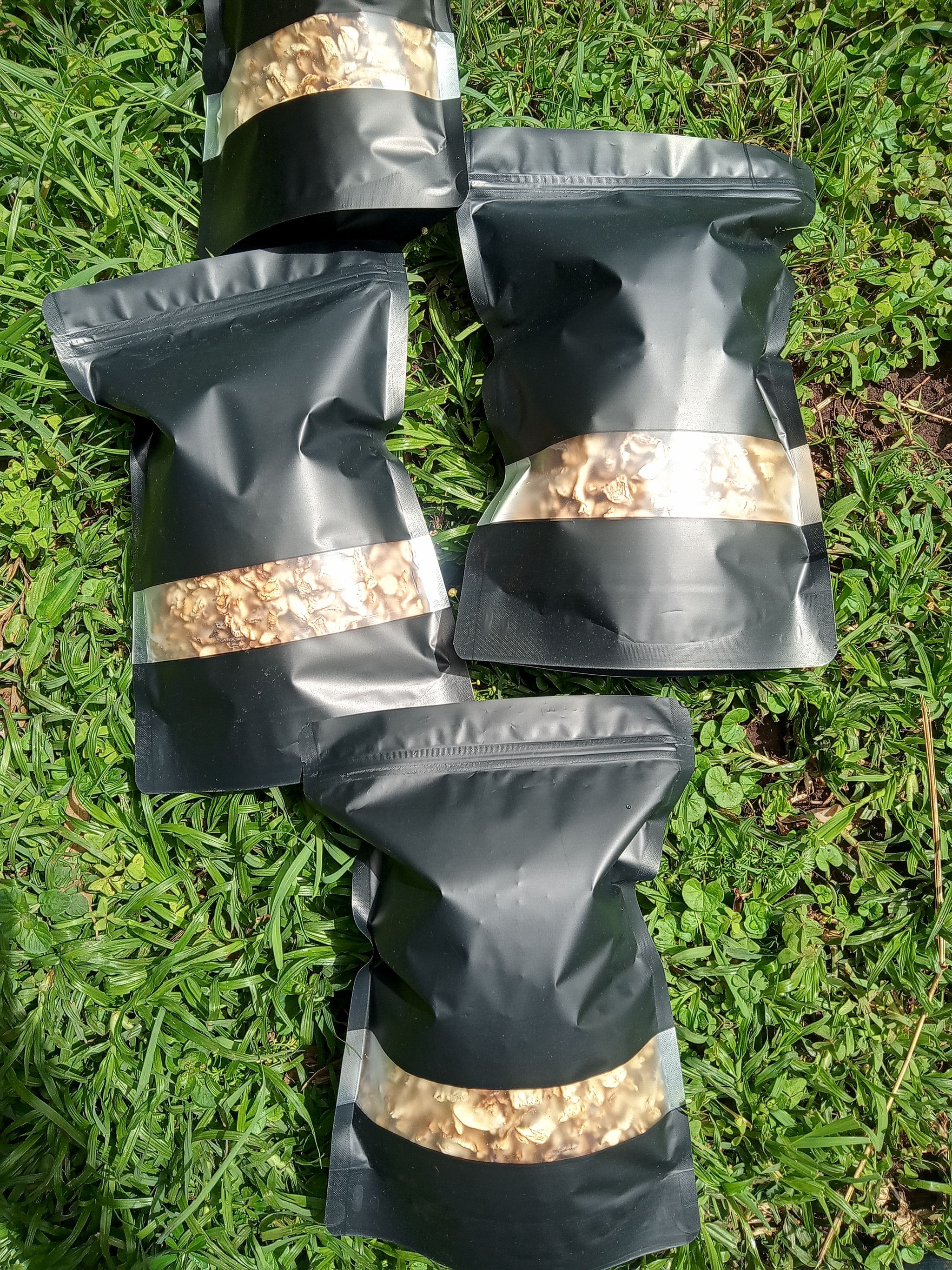 300gms Sun Dried Oyster Mushrooms_1