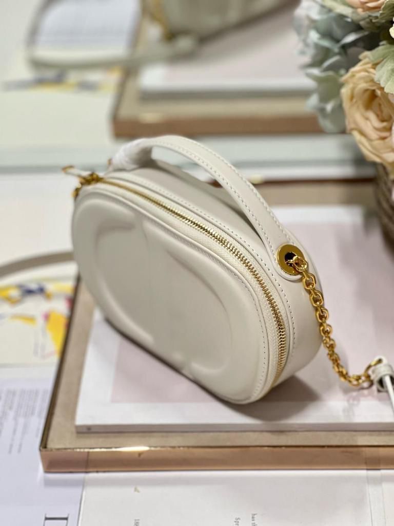 DIOR Signature Oval Camera Bag_1