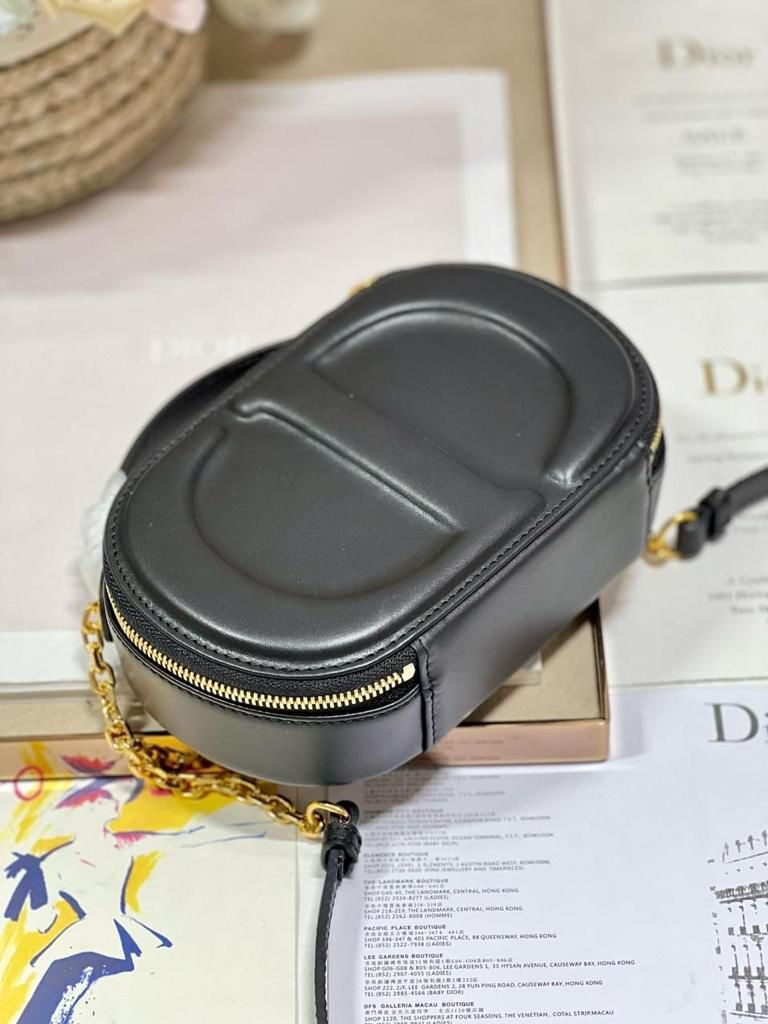 DIOR Signature Oval Camera Bag_1