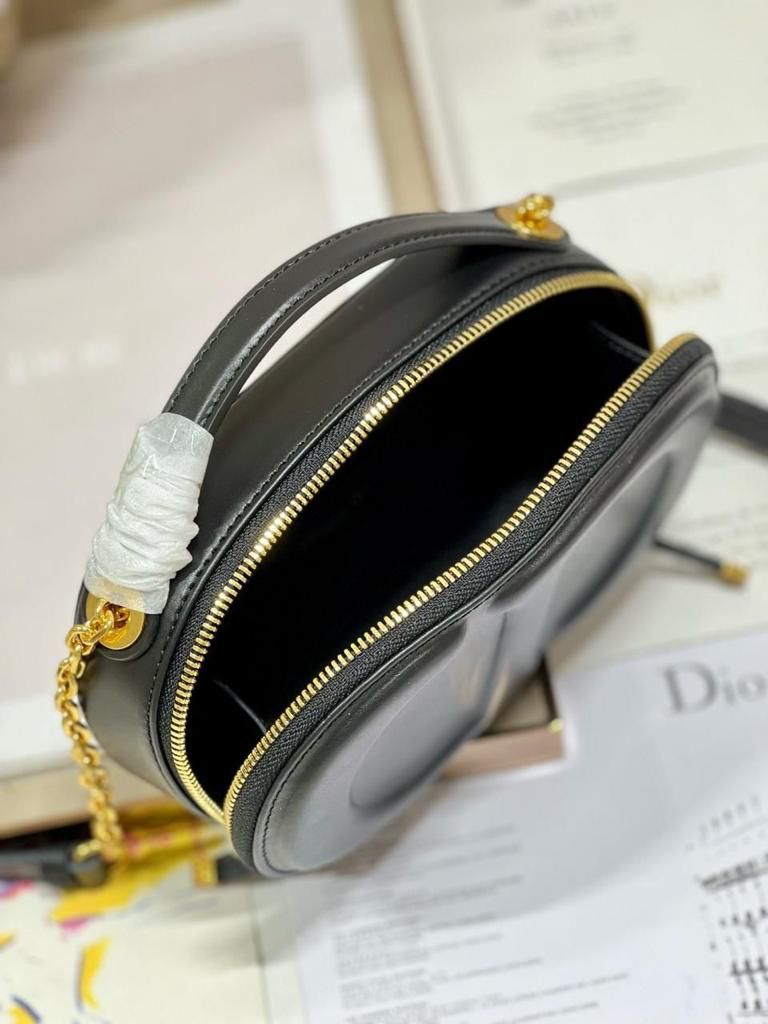 DIOR Signature Oval Camera Bag_2