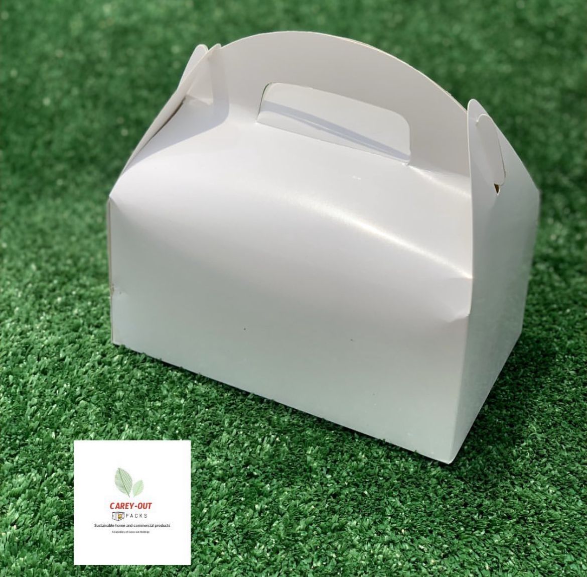 PLAIN WHITE LARGE TAKEOUT GABLE BOXES _12