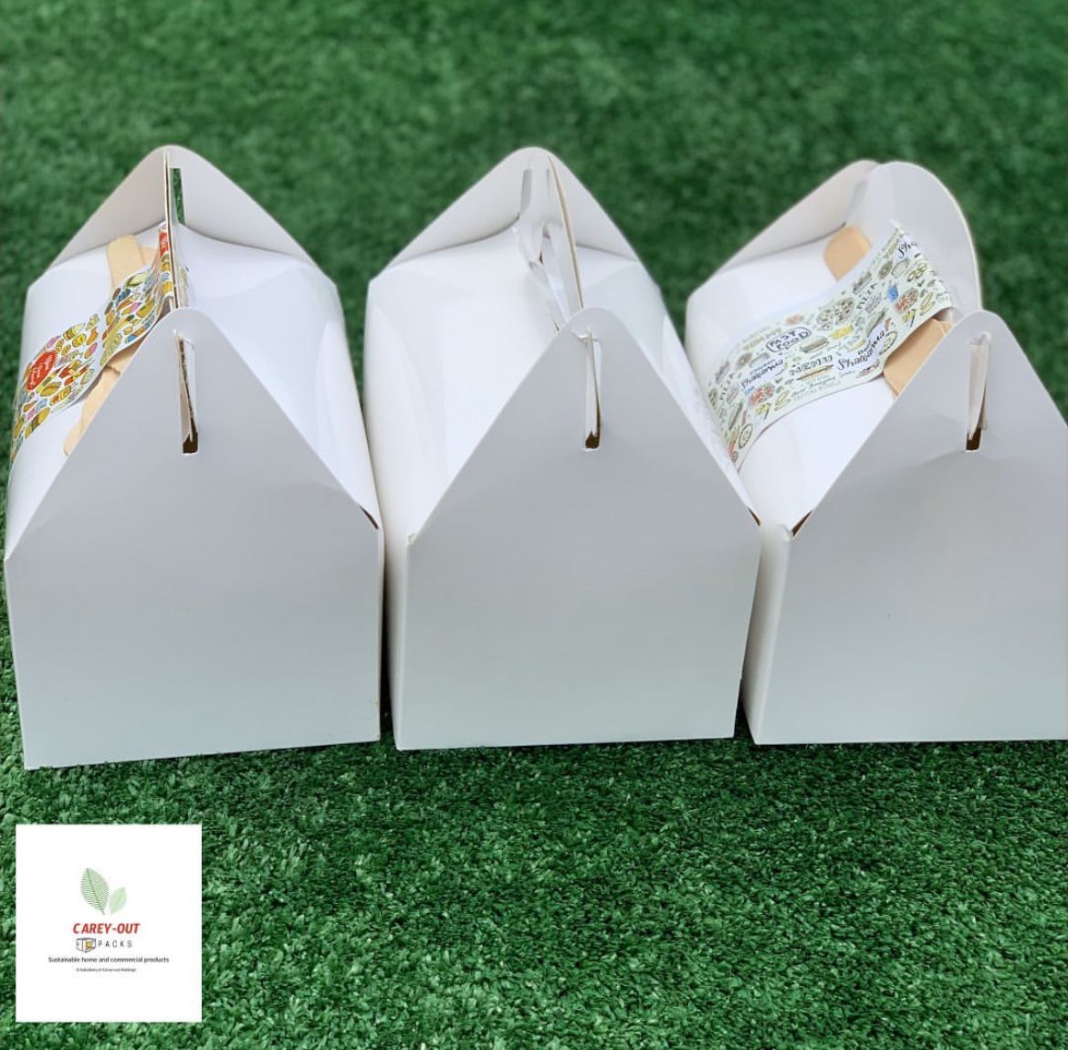 PLAIN WHITE LARGE TAKEOUT GABLE BOXES _8