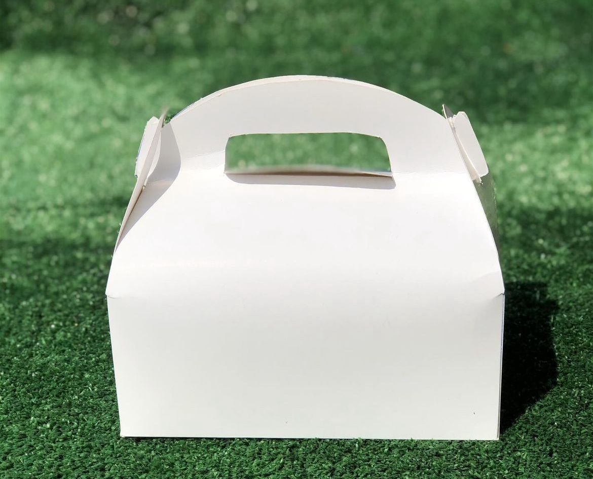 PLAIN WHITE LARGE TAKEOUT GABLE BOXES _5