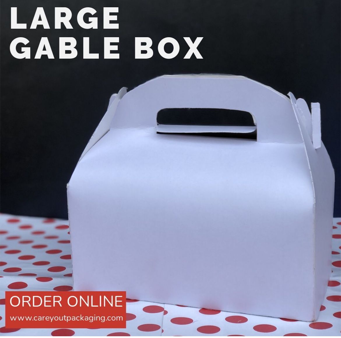 PLAIN WHITE LARGE TAKEOUT GABLE BOXES _1