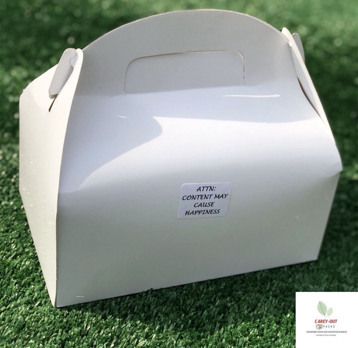 PLAIN WHITE LARGE TAKEOUT GABLE BOXES _9