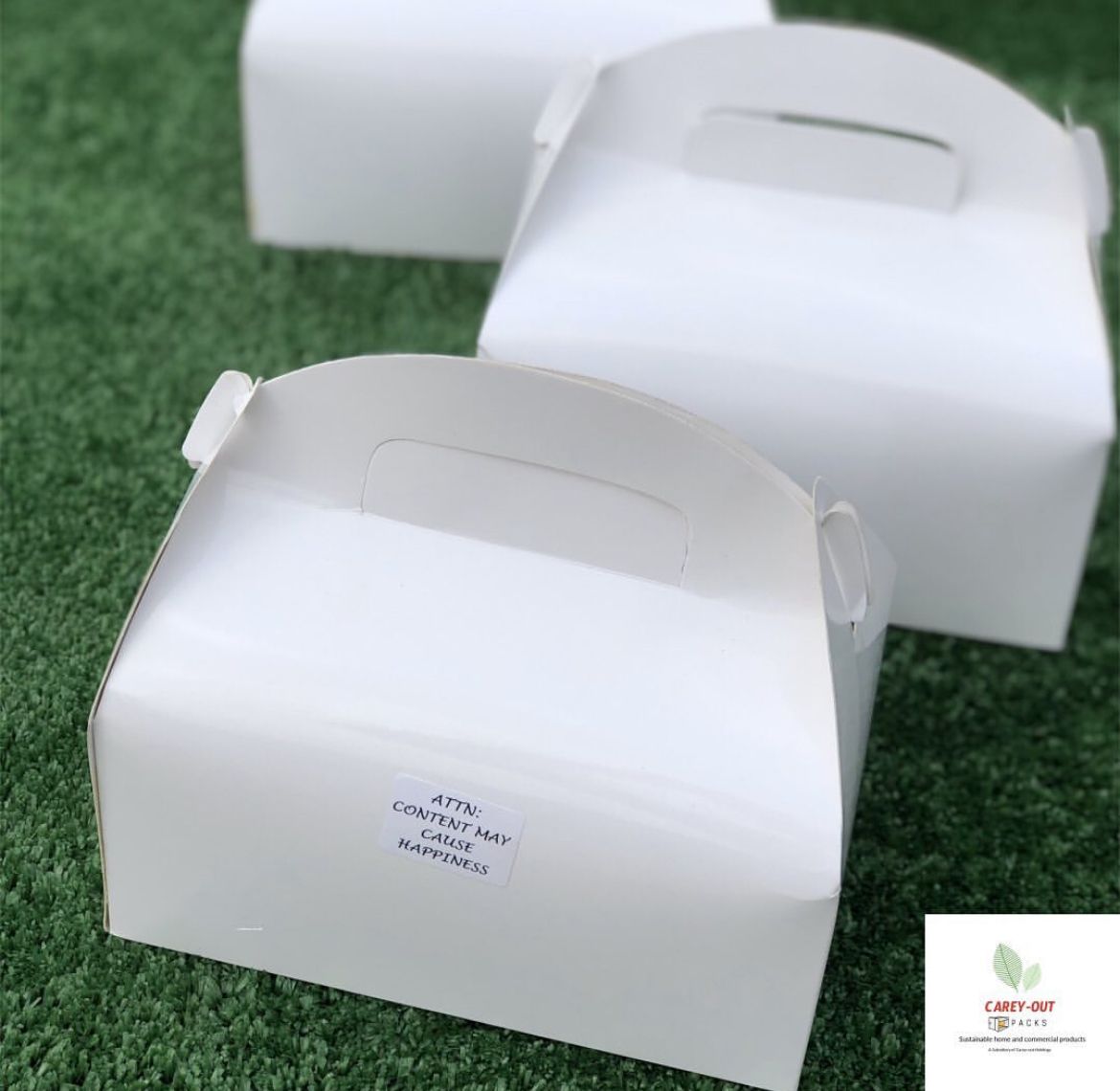 PLAIN WHITE LARGE TAKEOUT GABLE BOXES _10