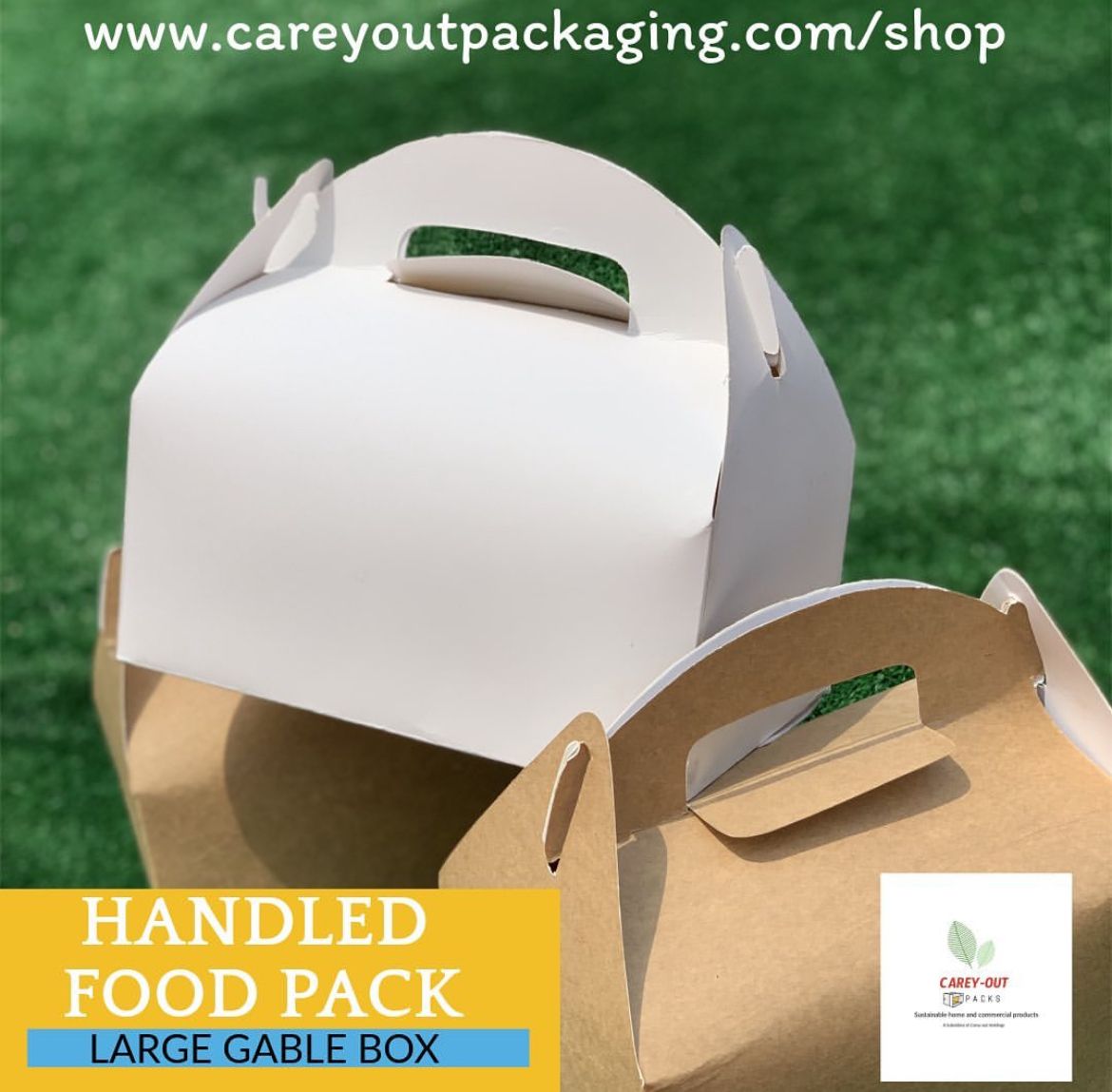 PLAIN WHITE LARGE TAKEOUT GABLE BOXES _2